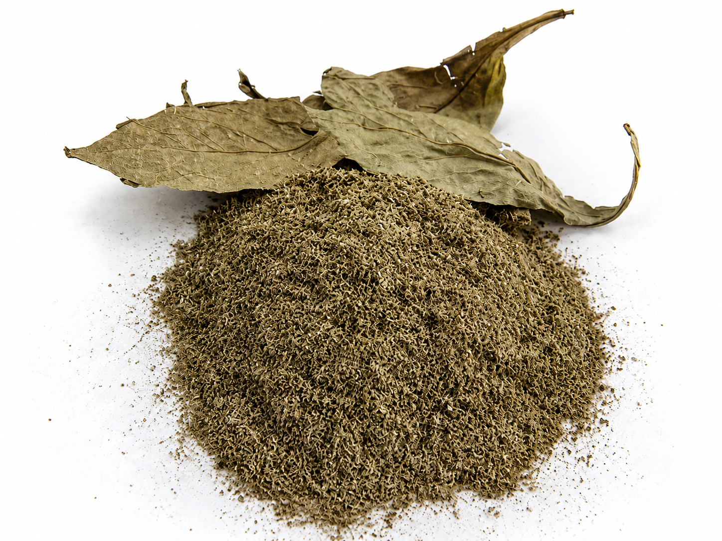 Buy Psychotria viridis (chacruna) leaves