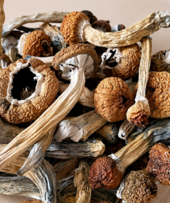 Dried magic mushrooms