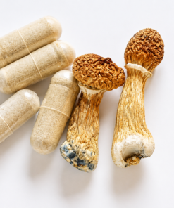 Dose Psilocybin